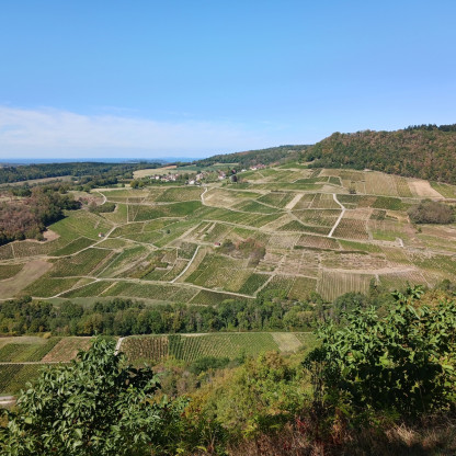 Chateau Chalon 12 sept 26
